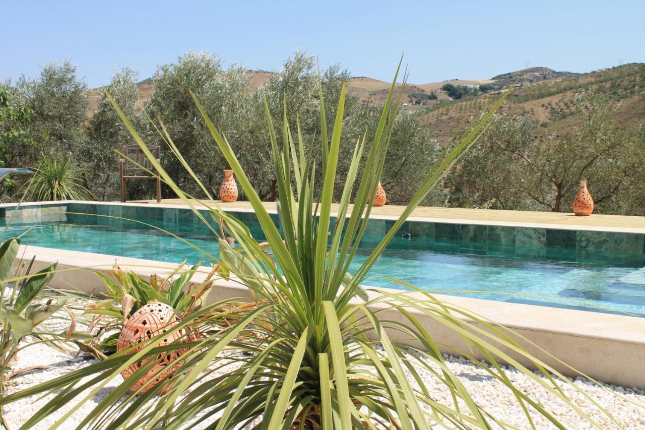 Finca Altozano - Private Pool - Unique Client Valle de Abdalagís Eksteriør billede