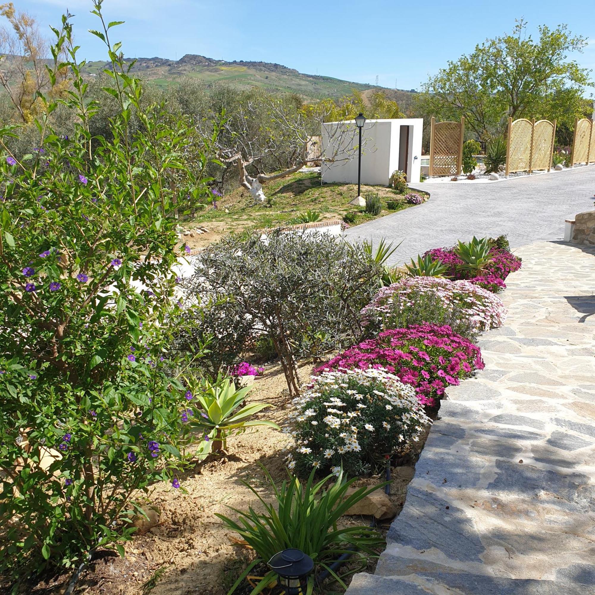 Finca Altozano - Private Pool - Unique Client Valle de Abdalagís Eksteriør billede