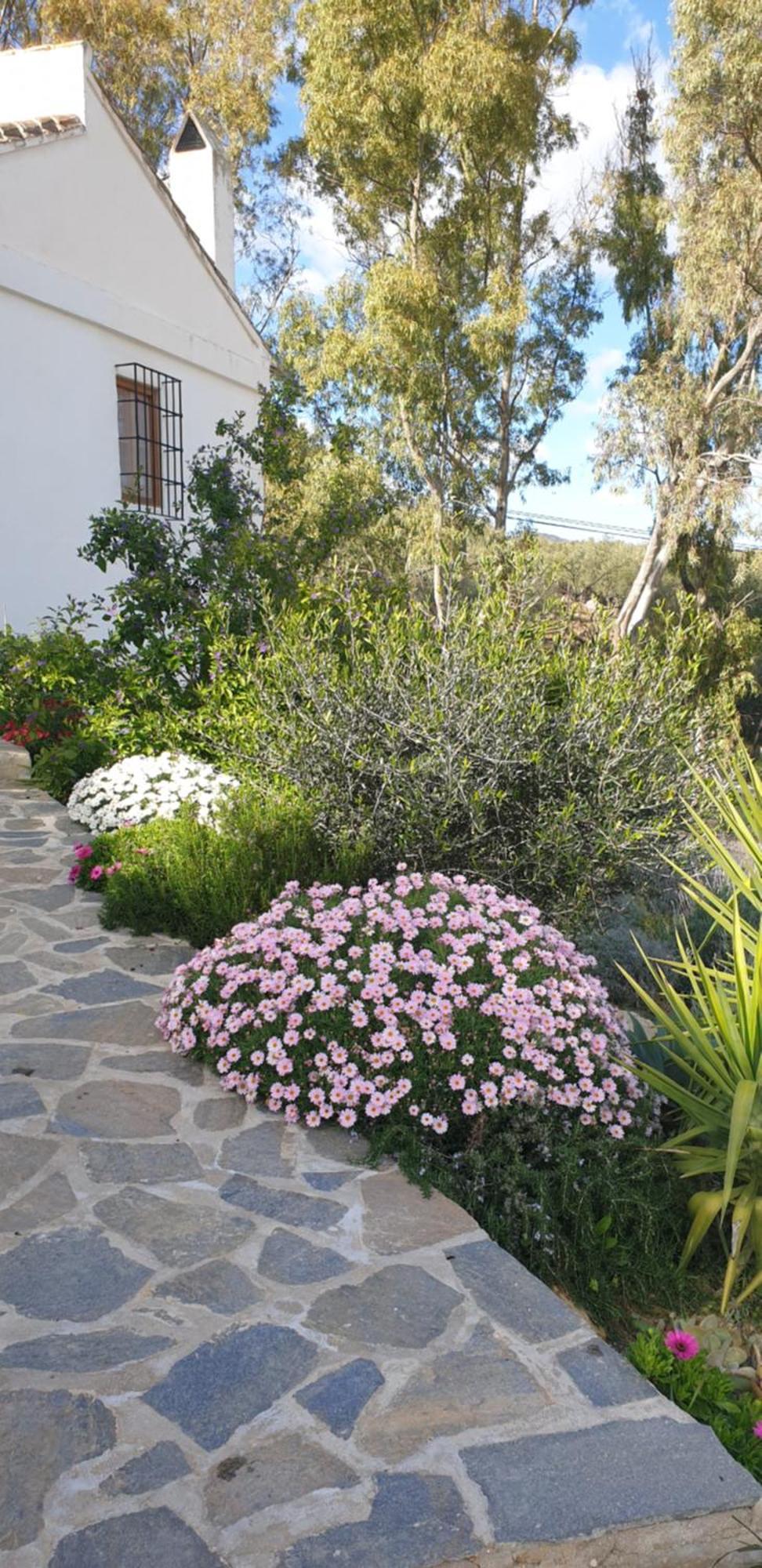 Finca Altozano - Private Pool - Unique Client Valle de Abdalagís Eksteriør billede
